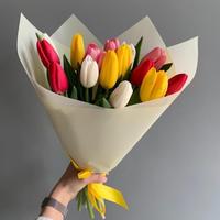 15 різнокольорових тюльпанів 