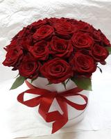 Коробка з 25 червоних троянд