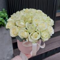 Коробка з 25 білих троянд