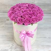 Коробка з 25 рожевих троянд
