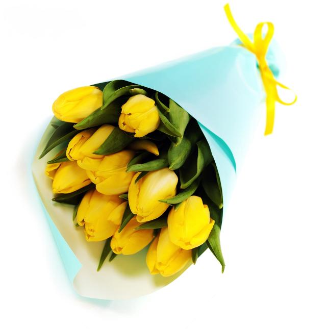 11 жовтих тюльпанів